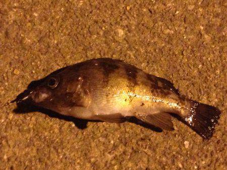 ランガンメバリング!