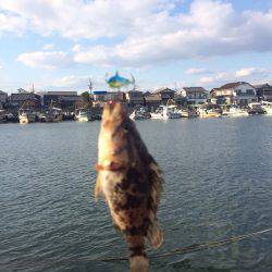 初アイスジグ！