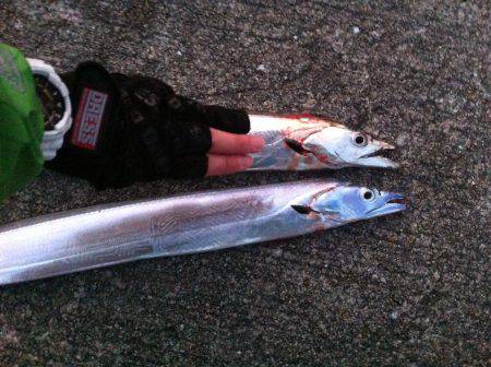 いつまで釣れる⁇