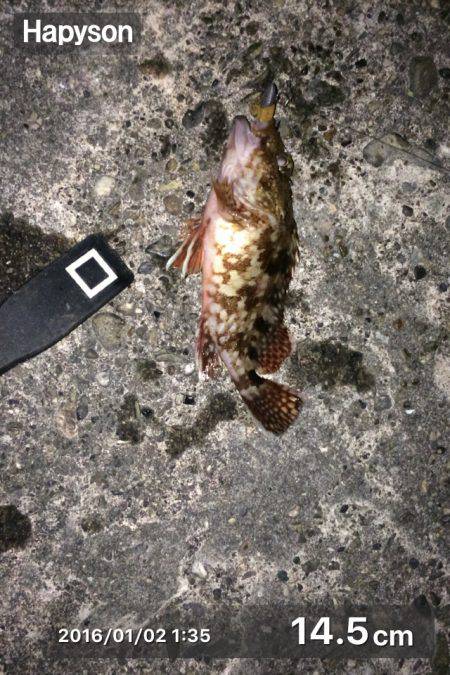 ロックフィッシング