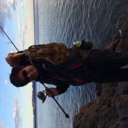 アオリはまだいる！