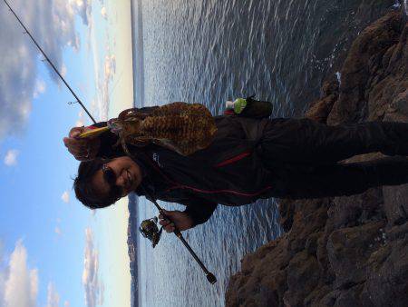 アオリはまだいる！