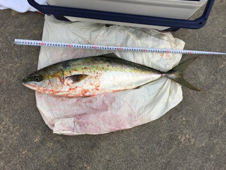 やっと…ゲット！