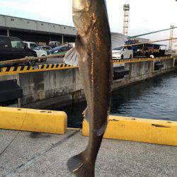 たまにはエビまくか！