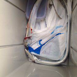 まだ居ます。タチウオ。