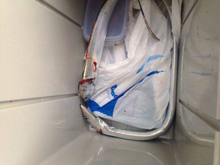 まだ居ます。タチウオ。