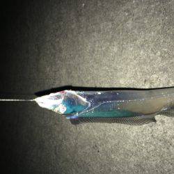 まだまだイケるね！