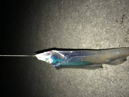 まだまだイケるね！