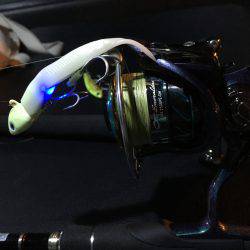 まだまだ釣れます。