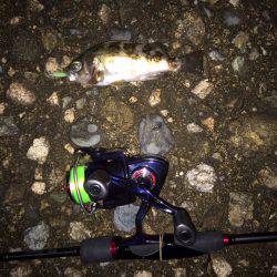 アアジング&メバリング