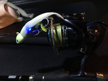 まだまだ釣れます。