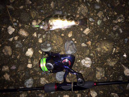 アアジング&メバリング