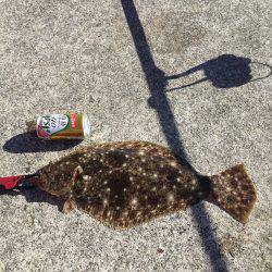 ショアジギング