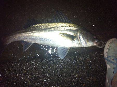 ドラグがでるっ！