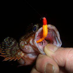 本命には振られましたが結果オーライV(^_^)V