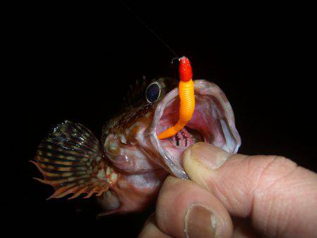 本命には振られましたが結果オーライV(^_^)V