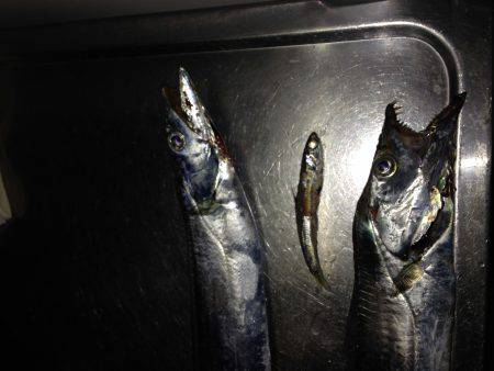 安物メタルジグ