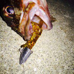 爆風の中の修行・・