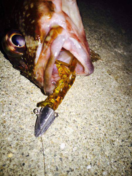 爆風の中の修行・・