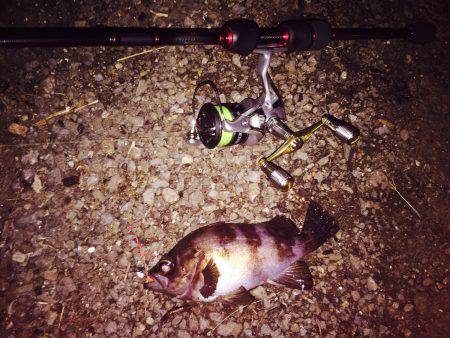 仕事帰りの癒し〜♪