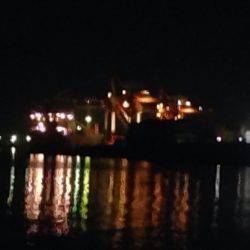 メバル調査 ふたたび！