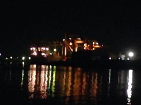 メバル調査 ふたたび！