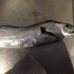 新春一発目は•••