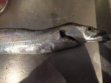 新春一発目は•••