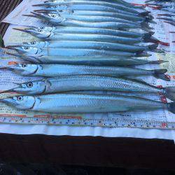 サヨリ祭りパート2