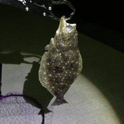 メバリング 嬉しい外道