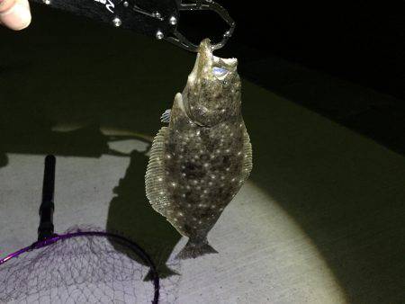 メバリング 嬉しい外道