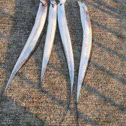 プチ遠征。車中泊で太刀魚ワインド釣行。