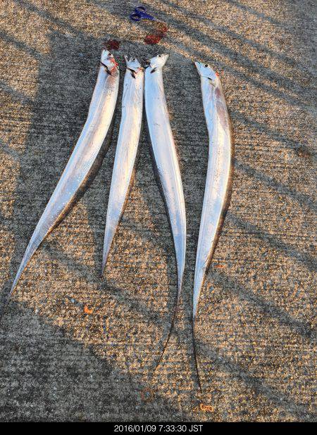 プチ遠征。車中泊で太刀魚ワインド釣行。