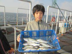 尼崎市立魚つり公園　セイゴ群がってます