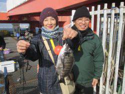 尼崎市立魚つり公園　セイゴ群がってます
