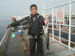 尼崎市立魚つり公園　セイゴの活性高し