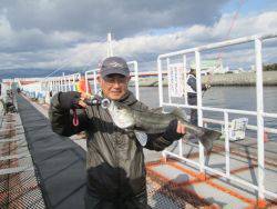 朝一セイゴ高活性です！