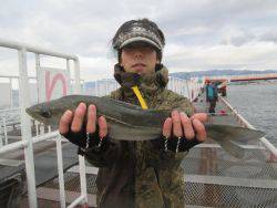 朝一セイゴ高活性です！