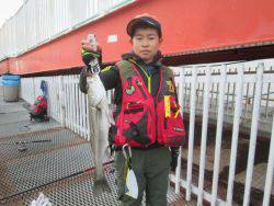 尼崎市立魚つり公園　エビ撒きでハネ、セイゴ