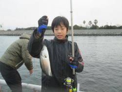 尼崎市立魚つり公園　エビ撒きでハネ、セイゴ