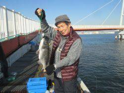 尼崎市立魚つり公園　ズボ釣りでチヌ、ほか