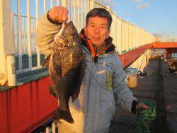 尼崎海釣り公園　セイゴ・チヌの釣果