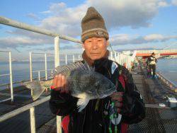 尼崎海釣り公園　セイゴ・チヌの釣果