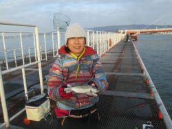 尼崎市立魚つり公園　ウキ釣りでセイゴほか