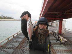 尼崎市立魚つり公園　ウキ釣りでセイゴほか