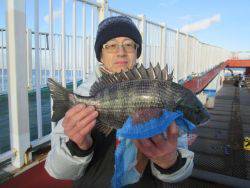 尼崎市立魚つり公園　チヌ、ハネほか