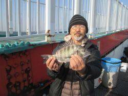 尼崎市立魚つり公園　ハネ、セイゴほか