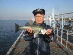 尼崎市立魚つり公園　セイゴ、ハネほか