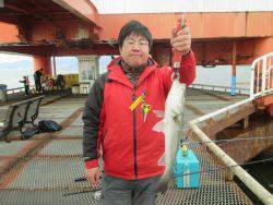 尼崎市立魚つり公園 ハネはタナ少し深めが◎