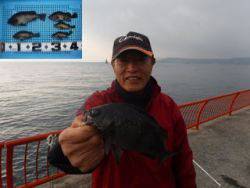 神戸市立平磯海づり公園　ウキ釣りでメバル